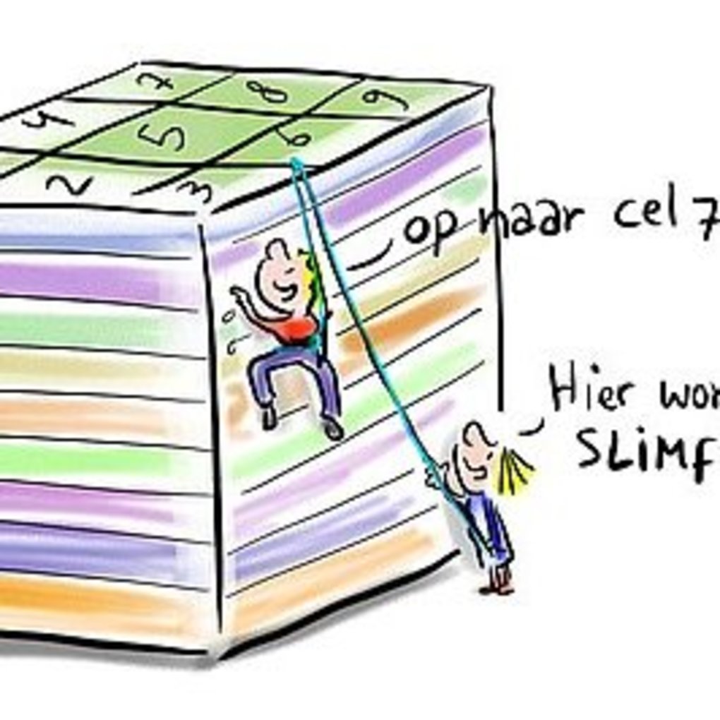 Squared rtemagicc slimfit.jpg