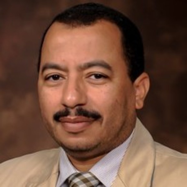 Alaa Sadik